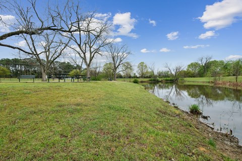 A grassy field with a pond and trees in the background.