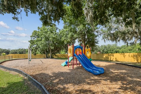 A playground with a blue slide and a yellow slide.