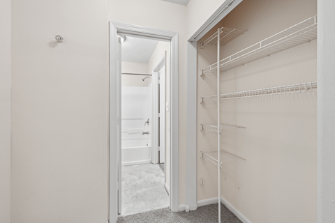 A white closet with shelves and an open door.