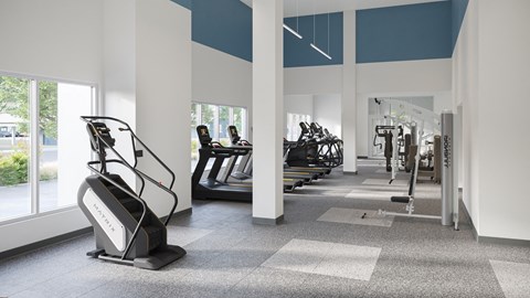 a row of treadmills in a gym with windows