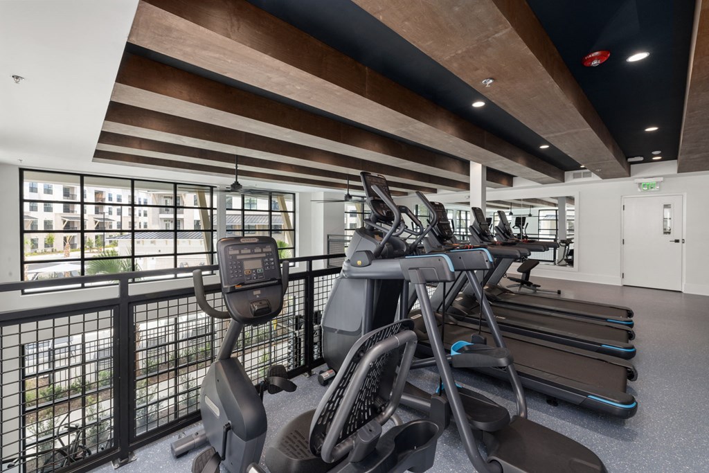 A gym with treadmills, elliptical machines and a view of the outside.