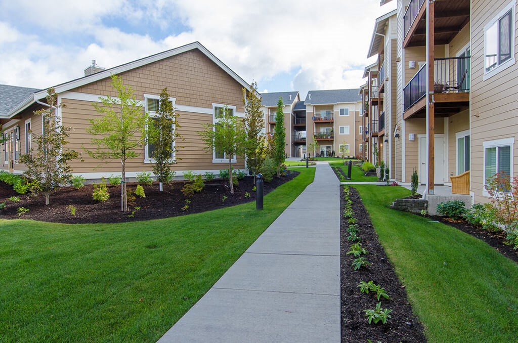 green grass and sidewalk