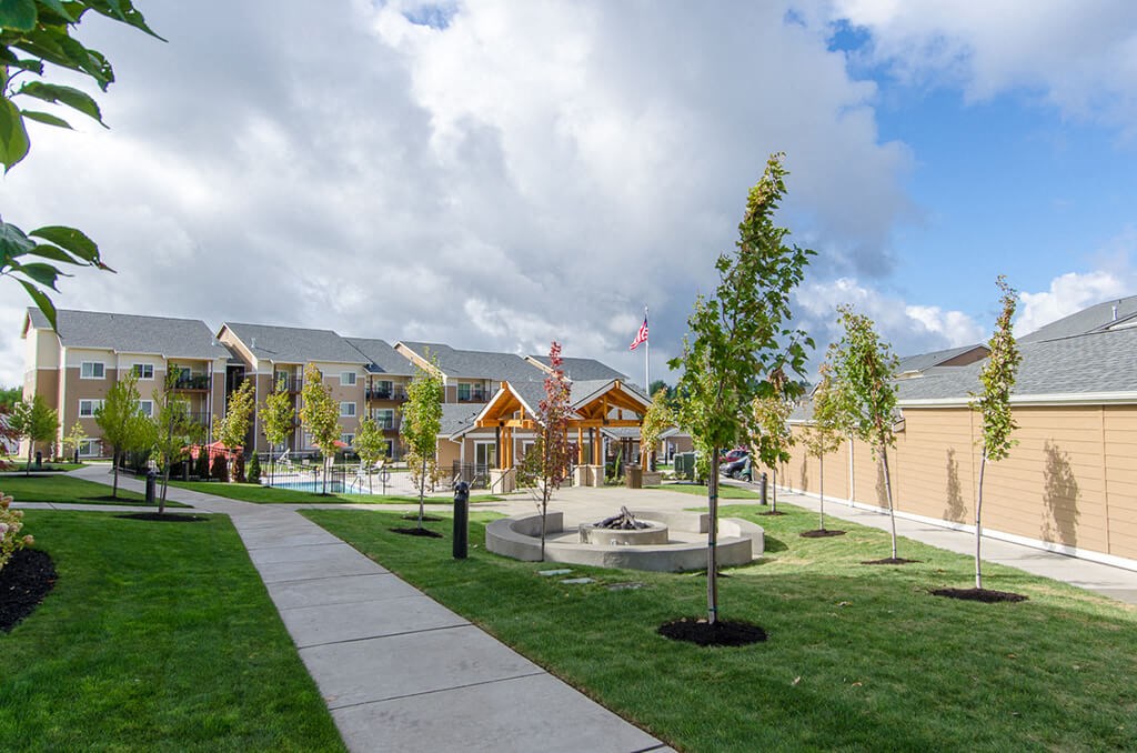Green grass and sidewalk