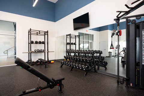 a fitness room with weights and a tv
