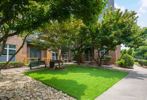 A Green Lawn in Front of a Building at Elizabeth Square Apartments, Charlotte, NC, 28204