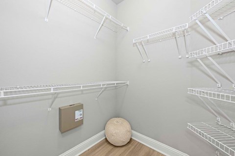 Large Closet at Mosaic South End Apartments, Charlotte