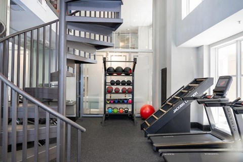 A Gym With Exercise Balls at Mosaic South End Apartments, North Carolina, 28203