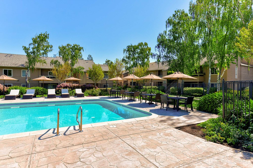 Swimming Pool with Lounge Seating at The Seasons Apartments, San Ramon, CA
