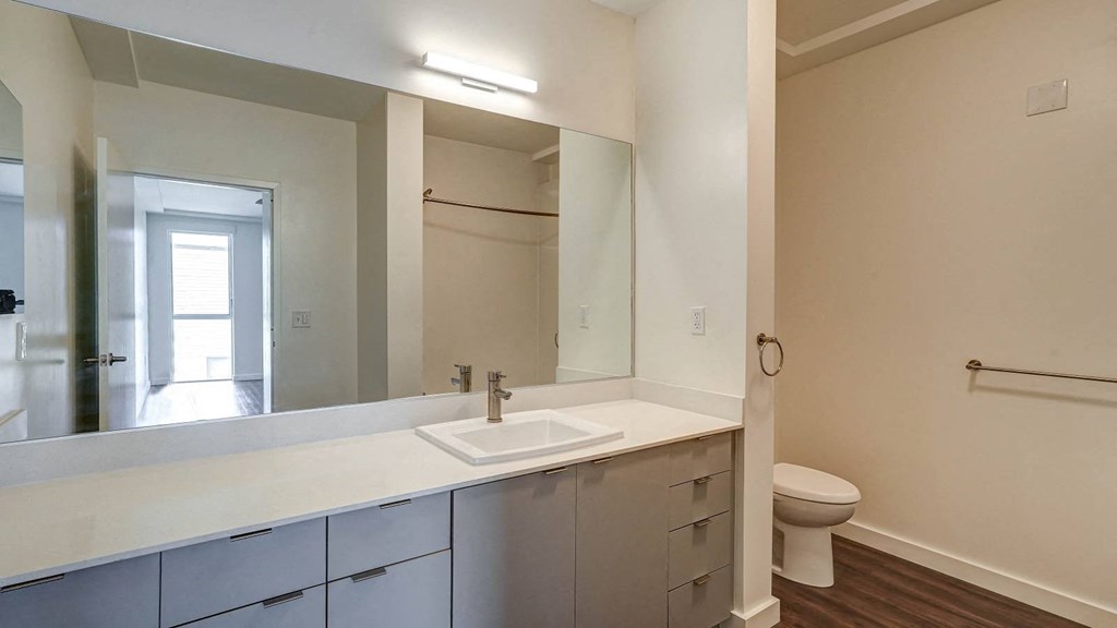 a bathroom with a sink and a mirror and a toilet
