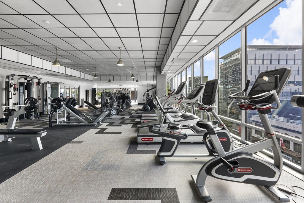 a gym with rows of exercise equipment and large windows