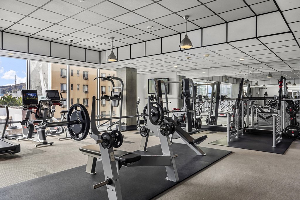 a gym with weights and other exercise equipment in a large room