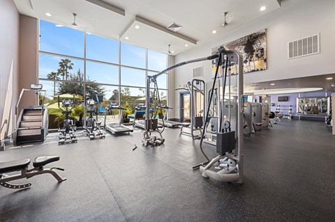 Modern gym with state-of-the-art equipment and large windows offering a garden view