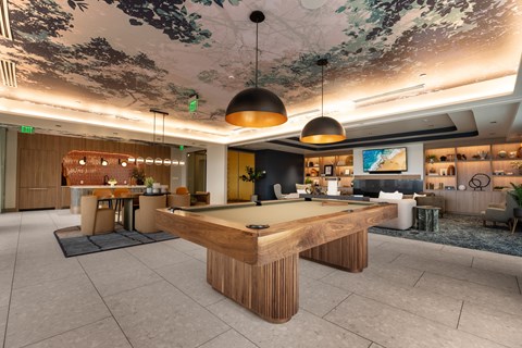 A room with a large table and chairs, a pool table, and a ceiling with a floral pattern.