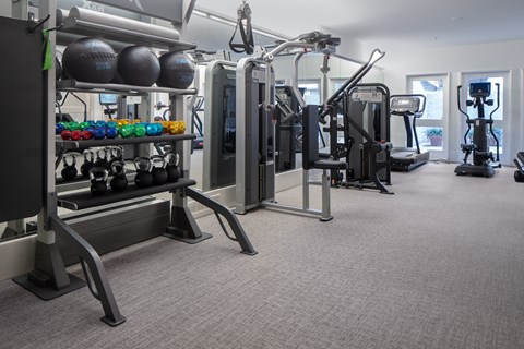 A gym with a variety of equipment including dumbbells, weight plates, and cardio machines.