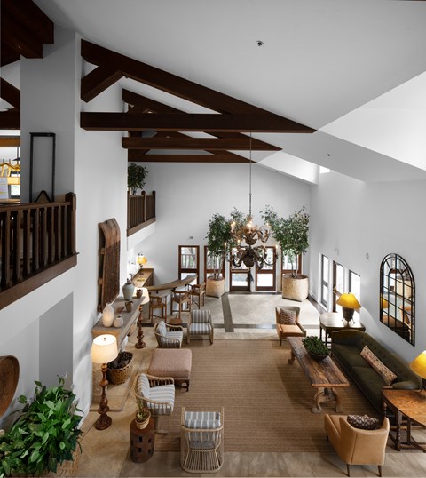 A living room with a lot of furniture and plants.