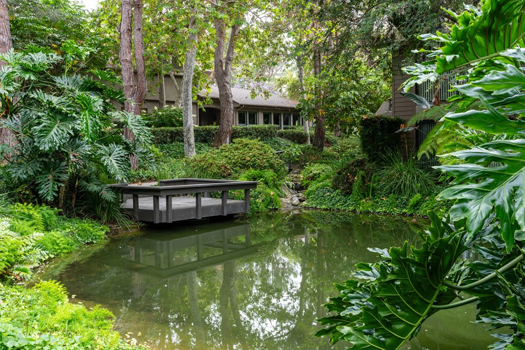 a small pond with a house in the background