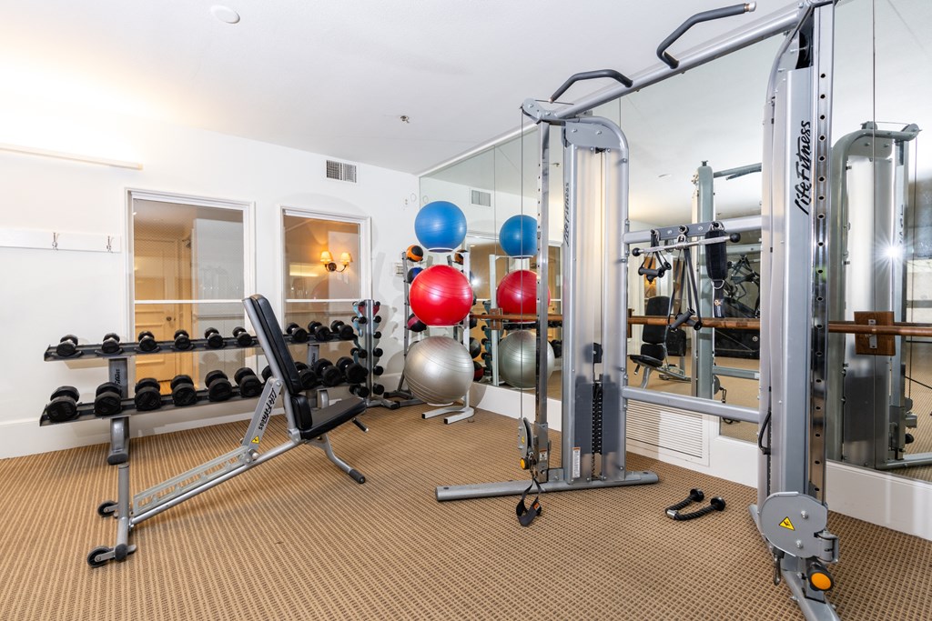 the gym at the preserve apartments