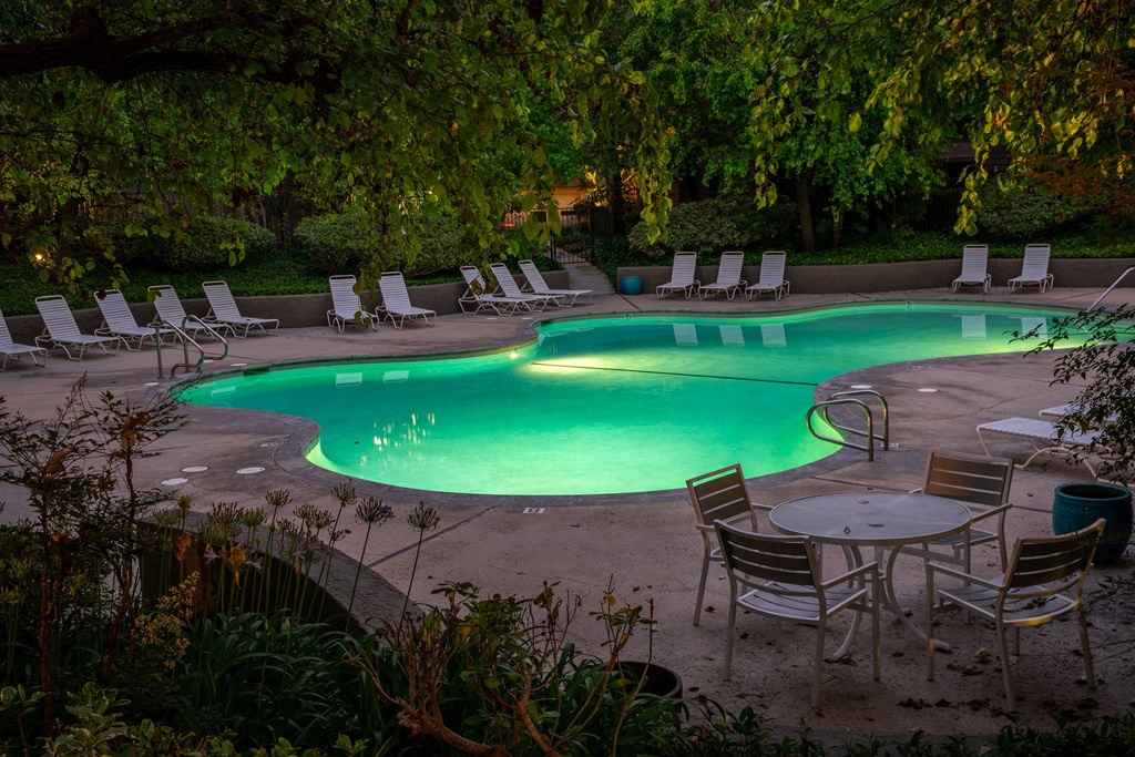 the swimming pool at the resort