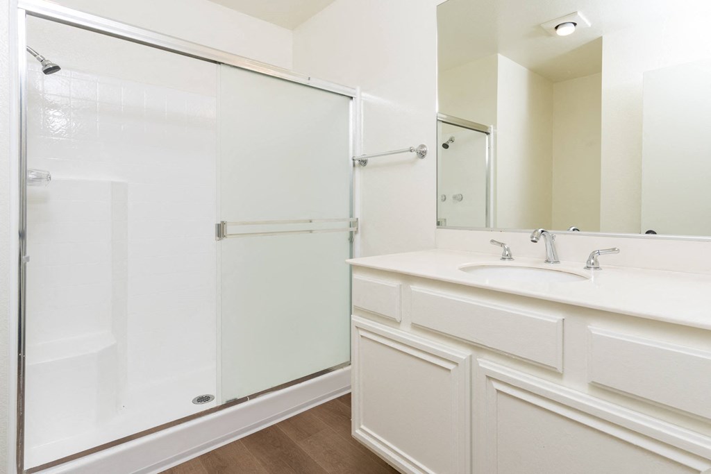 a bathroom with a sink and a shower