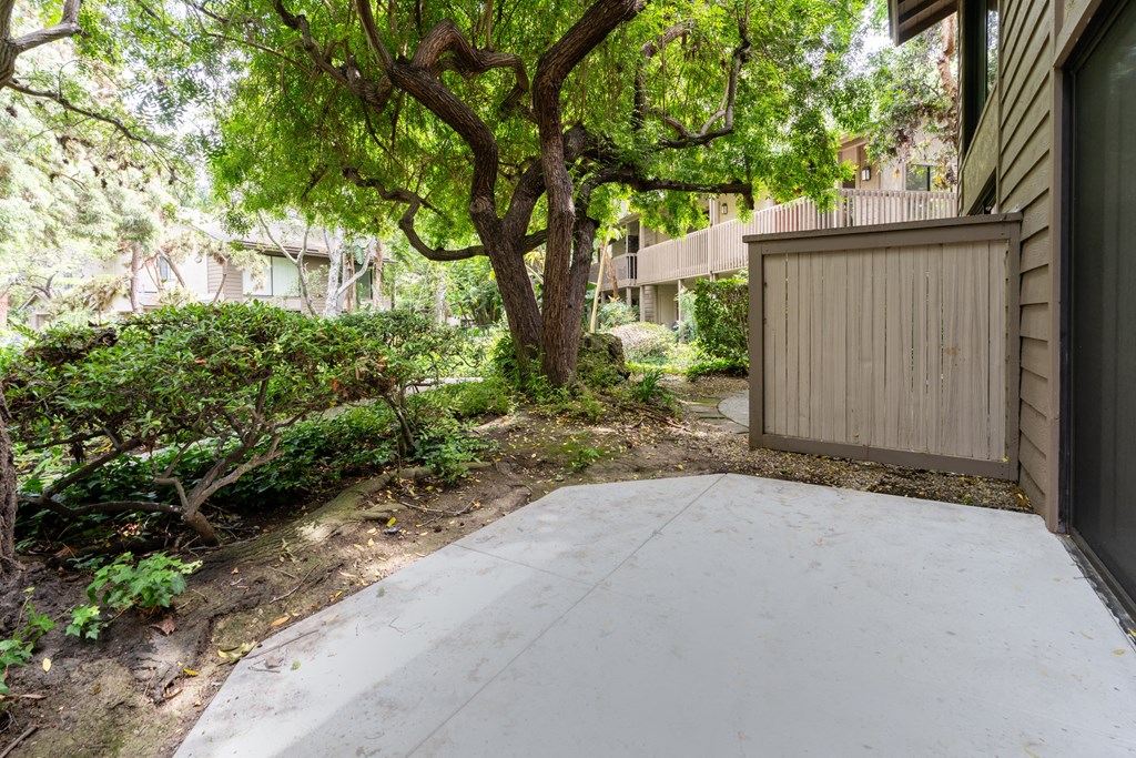 a driveway leading to a house with trees and a fence