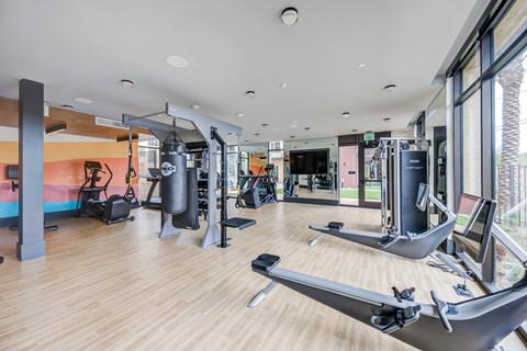 a gym with a lot of exercise equipment and a large window