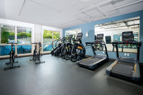 A gym with treadmills, exercise bikes, and a rowing machine.