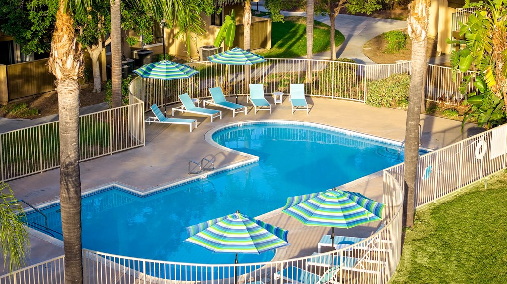 A pool surrounded by palm trees and lounge chairs.
