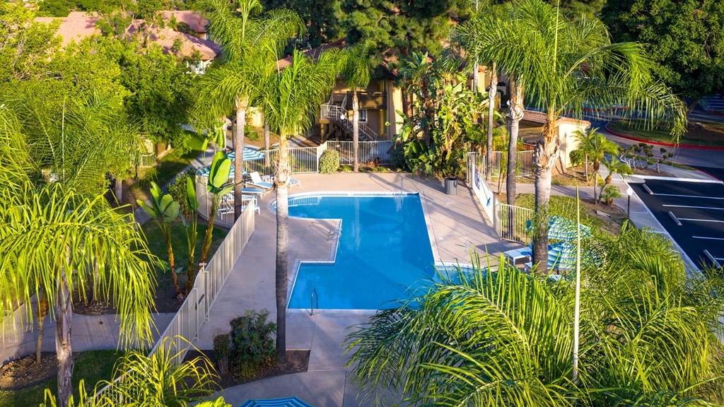 A swimming pool surrounded by palm trees.