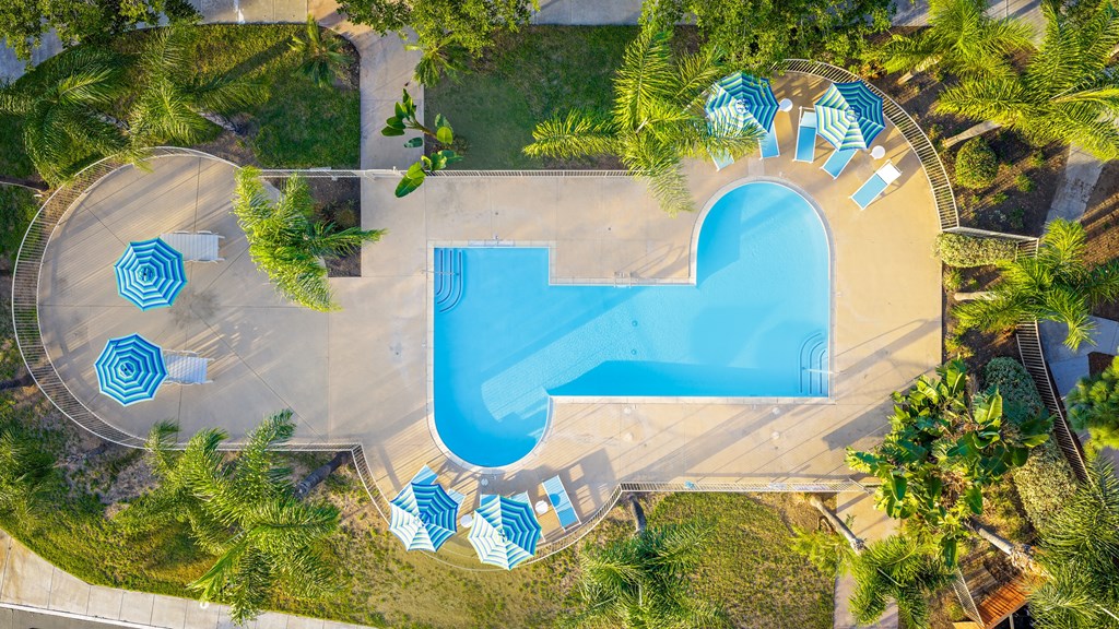 An aerial view of a swimming pool surrounded by palm trees.