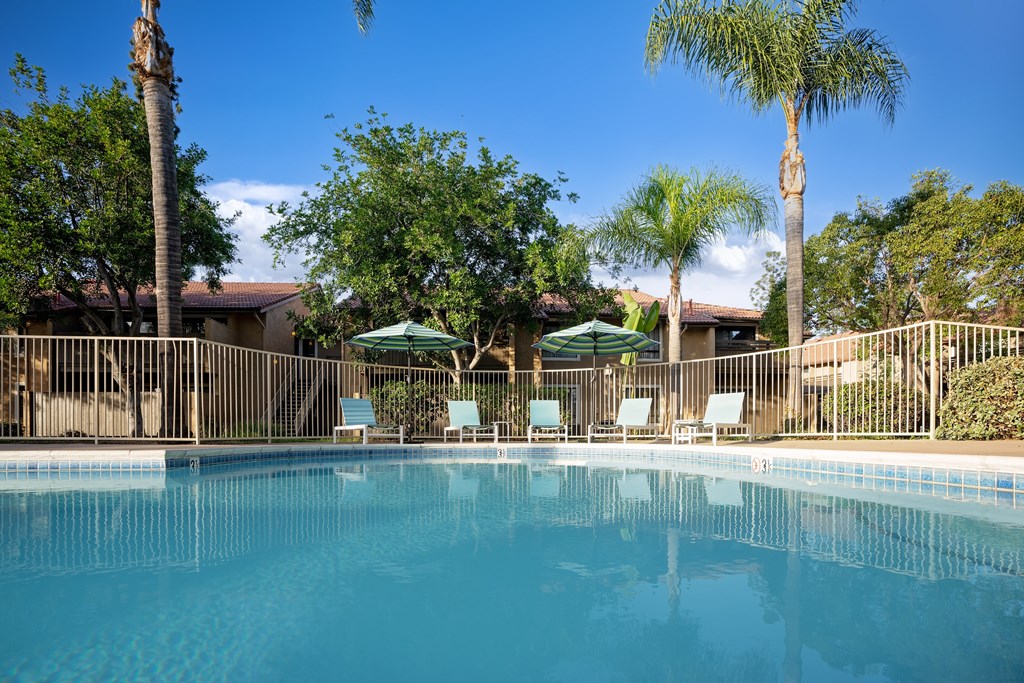 A swimming pool surrounded by palm trees and lounge chairs.