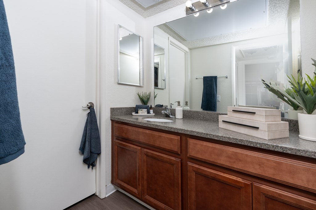A bathroom with a counter and a mirror.