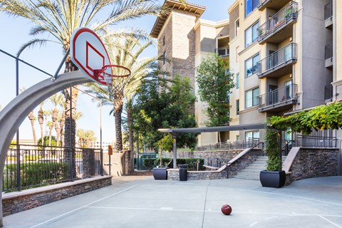 basketball court at the preserve at green trees apartments sc