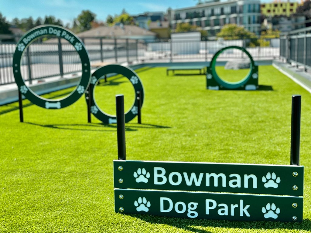 The Bowman Seattle WA Dog Park