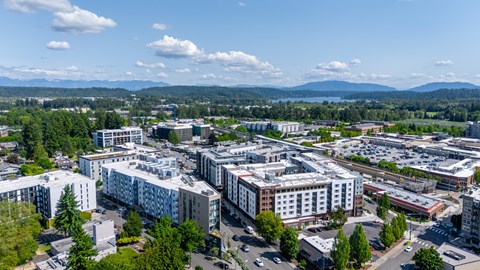 A cityscape with buildings and trees under a blue sky.