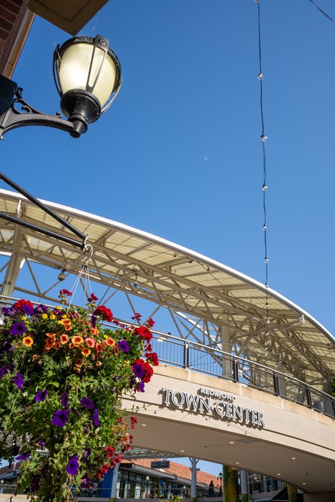 A street scene with a sign that says "Town Center".