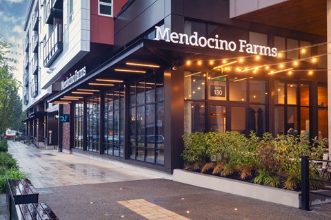 A street view of Mendocino Farms restaurant with a wet sidewalk and green plants.