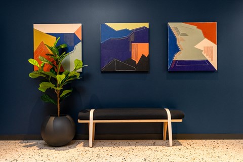 three paintings hanging on a blue wall with a bench and a plant