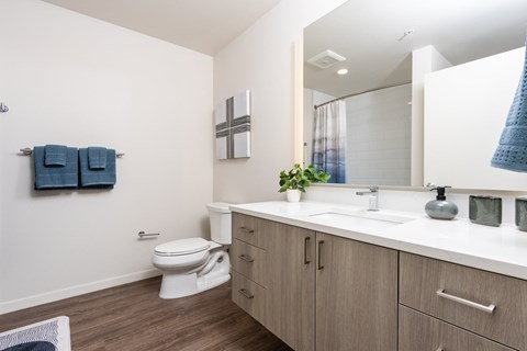 a bathroom with a large mirror and a toilet and a sink