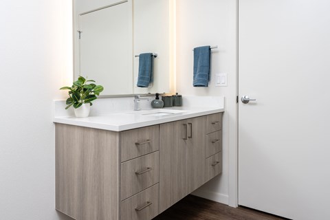 a bathroom with a sink and a mirror