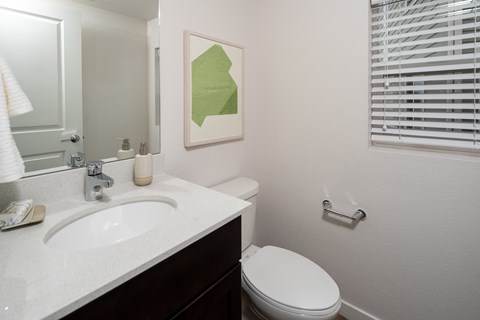 A bathroom with a toilet, sink, and a picture on the wall.