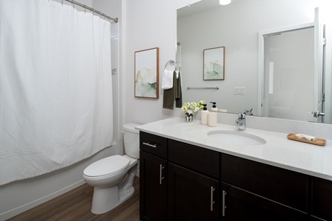 A white toilet sits next to a sink in a bathroom.