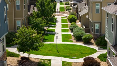 A residential street with houses on both sides and a tree in the middle.