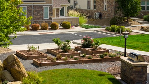 A landscaped area with a variety of plants and a small pond.