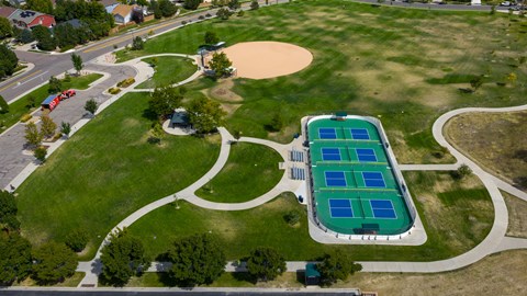 A large green and blue swimming pool surrounded by a grassy area and a road.