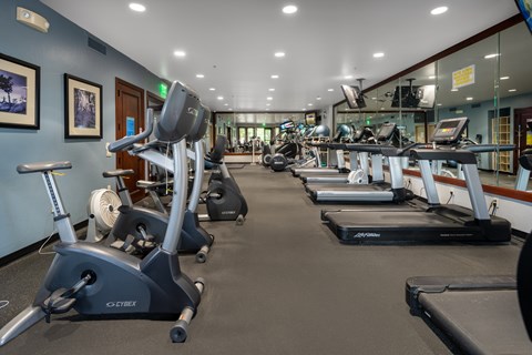 A gym with a variety of exercise equipment including treadmills, stationary bikes, and elliptical machines.