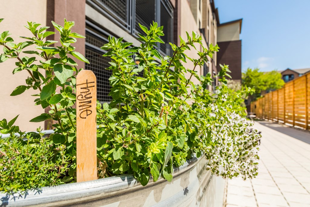 a planter with plants in front of a building with a street sign