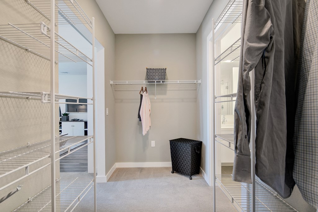 a walk in closet with a mirrored closet door and a closet with mirrored closets