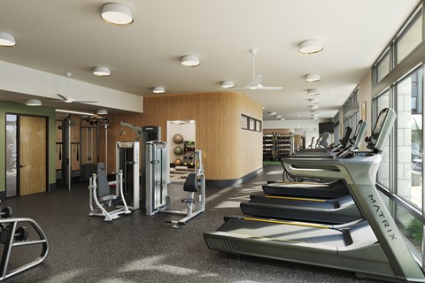 A gym with treadmills, weights and exercise equipment.