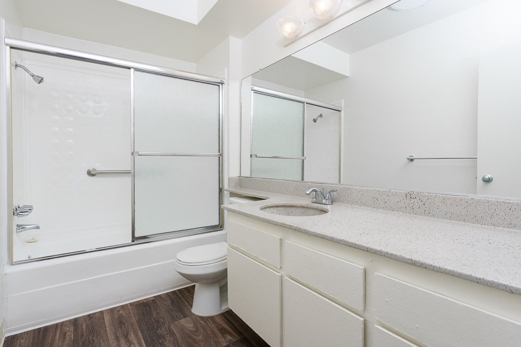 a bathroom with a sink and a shower and a toilet