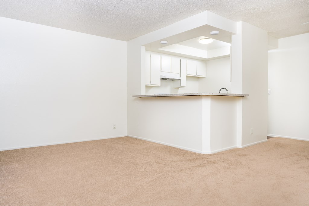 an empty living room and kitchen with white walls and carpet